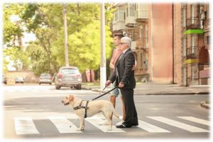 соцзащита города черемхово номера телефонов. Смотреть фото соцзащита города черемхово номера телефонов. Смотреть картинку соцзащита города черемхово номера телефонов. Картинка про соцзащита города черемхово номера телефонов. Фото соцзащита города черемхово номера телефонов
